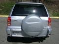Titanium Metallic - RAV4 4WD Photo No. 5