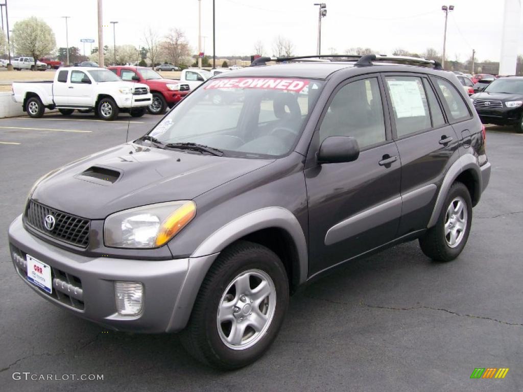 2003 RAV4  - Graphite Gray Pearl / Gray photo #2