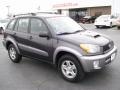 Graphite Gray Pearl - RAV4  Photo No. 5
