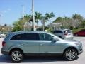 2007 Sycamore Green Metallic Audi Q7 3.6 Premium quattro  photo #8