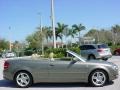 Alpaka Beige Metallic - A4 2.0T Cabriolet Photo No. 7