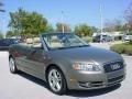 Alpaka Beige Metallic - A4 2.0T Cabriolet Photo No. 8