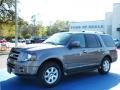 2010 Sterling Grey Metallic Ford Expedition Limited  photo #1