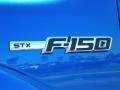 2010 Blue Flame Metallic Ford F150 STX SuperCab  photo #4