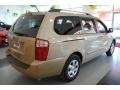 2009 Cashmere Kia Sedona LX  photo #8