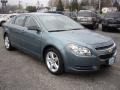 2009 Silver Moss Metallic Chevrolet Malibu LS Sedan  photo #3