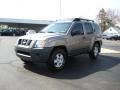 Granite Metallic - Xterra S Photo No. 1