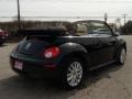Black - New Beetle SE Convertible Photo No. 11