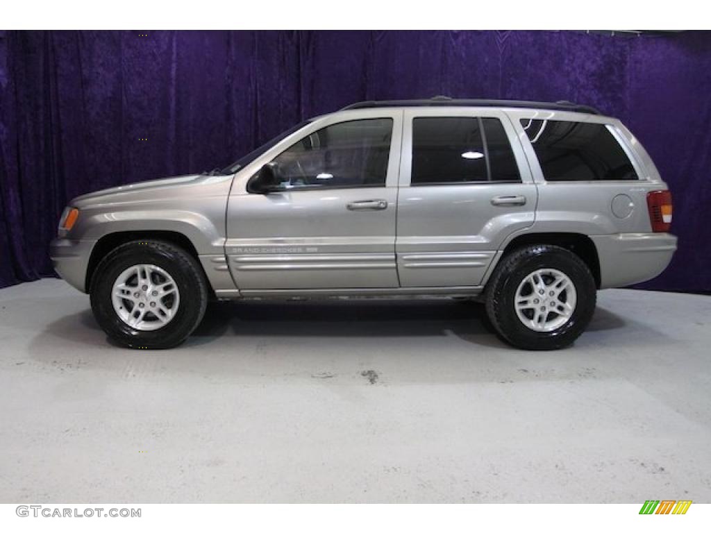 1999 Grand Cherokee Limited 4x4 - Bright Platinum Metallic / Agate photo #4