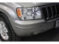 1999 Bright Platinum Metallic Jeep Grand Cherokee Limited 4x4  photo #44