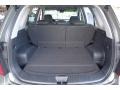 2009 Titanium Gray Kia Rondo LX  photo #26