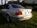 2003 Titanium Silver Metallic BMW 5 Series 540i Sedan  photo #14