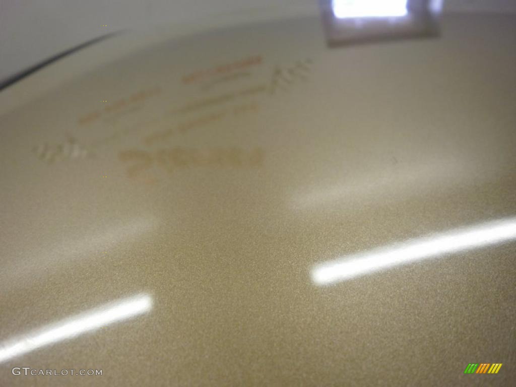1998 Grand Prix GT Coupe - Gold Metallic / Camel photo #18
