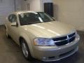 White Gold - Avenger R/T Photo No. 10