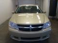 White Gold - Avenger R/T Photo No. 11
