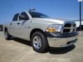 Light Graystone Pearl 2010 Dodge Ram 1500 Gallery