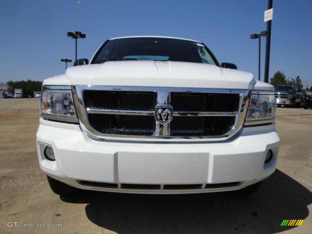 2010 Dakota ST Crew Cab - Stone White / Dark Slate Gray/Medium Slate Gray photo #8