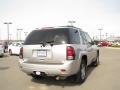 2007 Silverstone Metallic Chevrolet TrailBlazer LT 4x4  photo #10