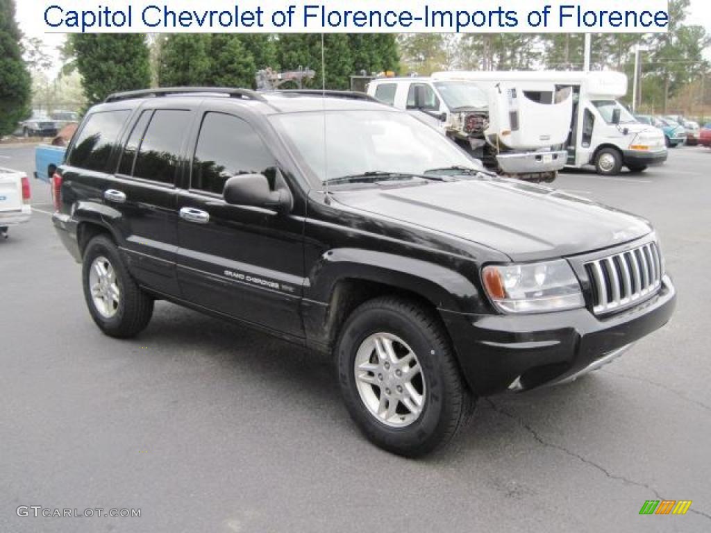 2004 Grand Cherokee Laredo - Brillant Black Crystal Pearl / Dark Slate Gray photo #1