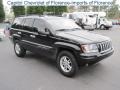 2004 Brillant Black Crystal Pearl Jeep Grand Cherokee Laredo  photo #1