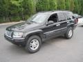 2004 Brillant Black Crystal Pearl Jeep Grand Cherokee Laredo  photo #4