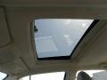 2010 Dark Cordovan Pearl Chrysler 300 Touring  photo #16
