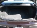 2010 Dark Cordovan Pearl Chrysler 300 Touring  photo #20