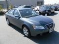 Willow Gray - Sonata GLS Photo No. 5