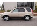 2006 Sahara Sand Metallic Honda CR-V SE 4WD  photo #2