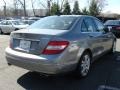 Palladium Silver Metallic - C 300 4Matic Photo No. 4