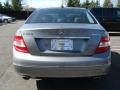 Palladium Silver Metallic - C 300 4Matic Photo No. 5