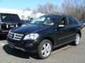 Black - ML 350 4Matic Photo No. 1