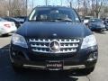 Black - ML 350 4Matic Photo No. 2
