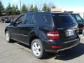 Black - ML 350 4Matic Photo No. 6