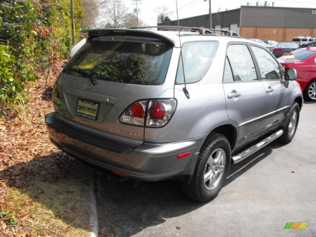 2003 RX 300 - Millenium Silver Metallic / Ivory photo #6