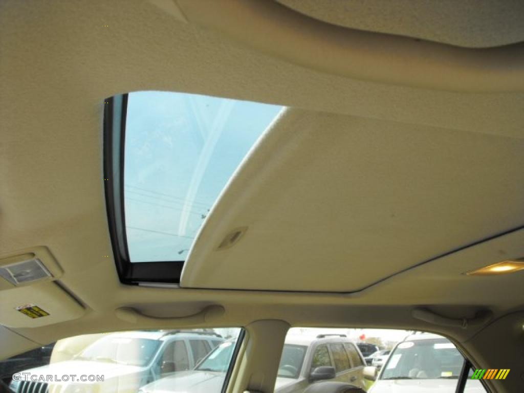 2003 RX 300 - Millenium Silver Metallic / Ivory photo #8
