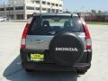 Silver Moss Metallic - CR-V LX Photo No. 4