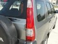 Silver Moss Metallic - CR-V LX Photo No. 19