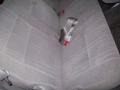 Sunfire Red Pearl - Tundra SR5 Extended Cab Photo No. 24