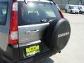 Silver Moss Metallic - CR-V LX Photo No. 20