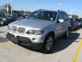 Titanium Silver Metallic - X5 4.4i Photo No. 1
