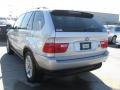 2005 Titanium Silver Metallic BMW X5 4.4i  photo #3