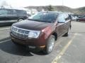 2009 Cinnamon Metallic Lincoln MKX Ultimate AWD  photo #1