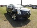 Black Raven - Escalade ESV AWD Photo No. 1