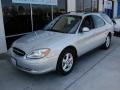 Silver Frost Metallic - Taurus SE Wagon Photo No. 7