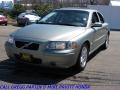 Willow Green Metallic - S60 2.5T Photo No. 3