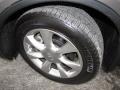 2008 Platinum Graphite Gray Infiniti EX 35  photo #19