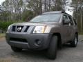 Granite Metallic - Xterra X Photo No. 4