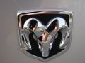 Bright Silver Metallic - Charger  Photo No. 32