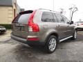 Oyster Gray Pearl - XC90 3.2 Photo No. 6